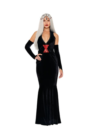 Dreamgirl Blackest Widow Women's Costume Dreamgirl