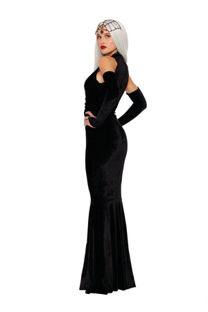 Dreamgirl Blackest Widow Women's Costume Dreamgirl